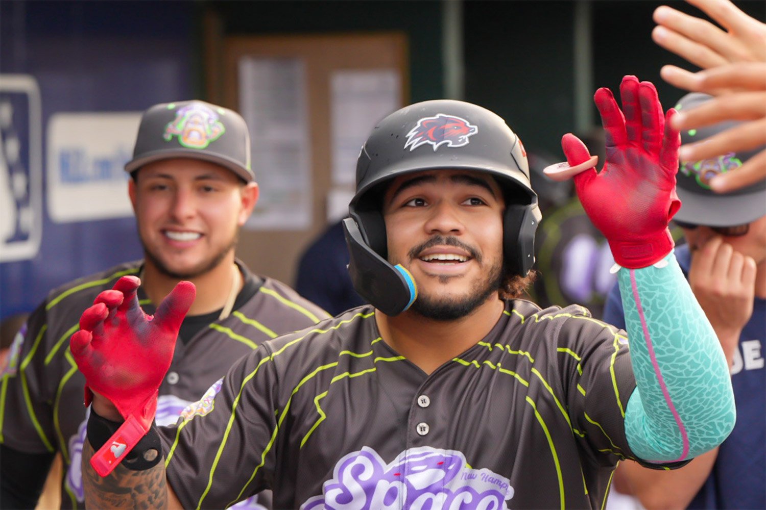 More information about "Meet The New Best Hitter In The Minor Leagues"