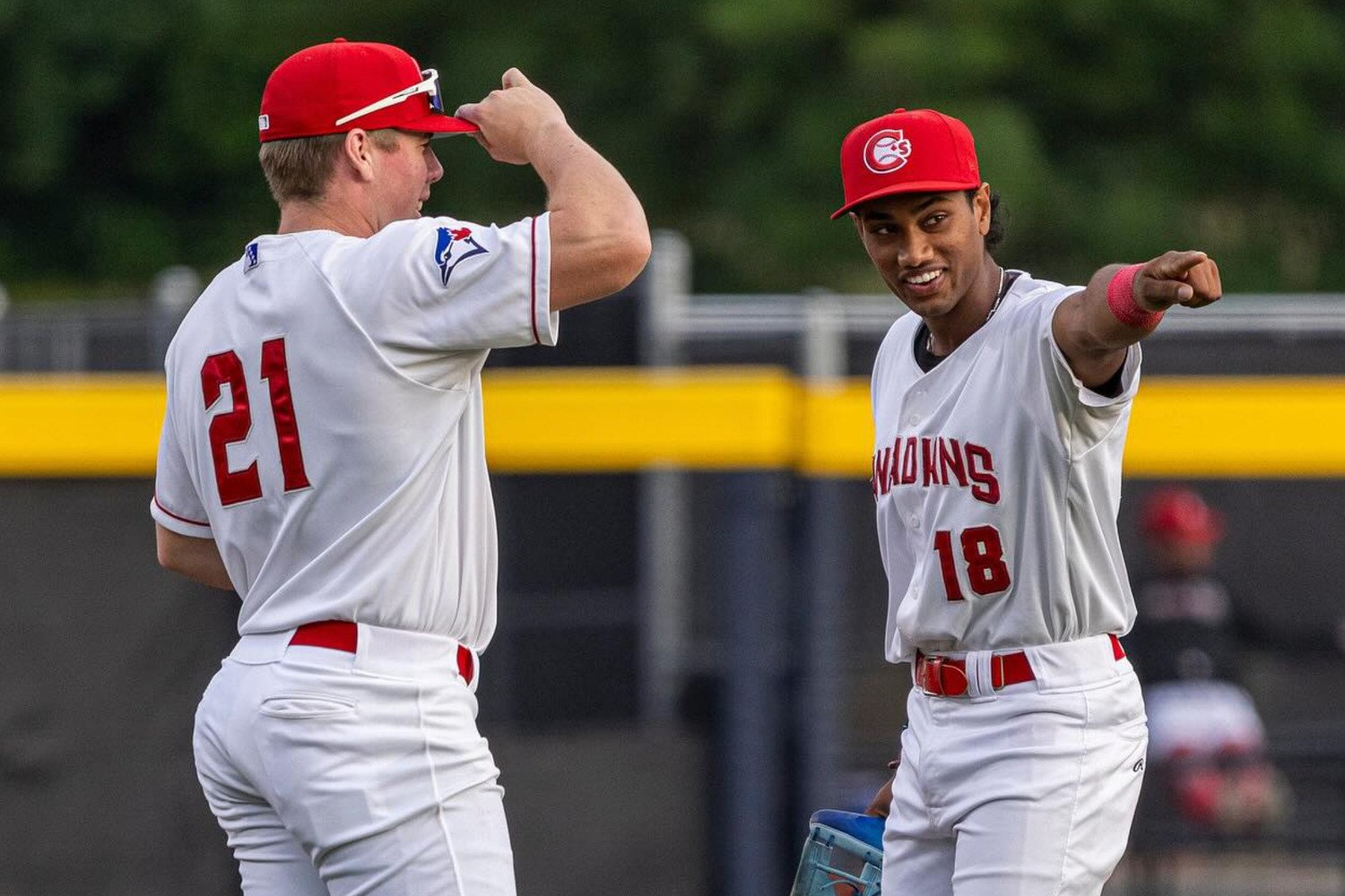 More information about "Blue Jays Minor League Recap: Vancouver Canadians Take the Division Lead"