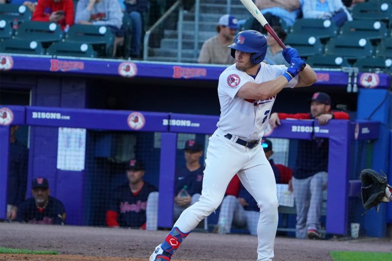 Blue Jays Minor League Hitter Of The Month, May 2025