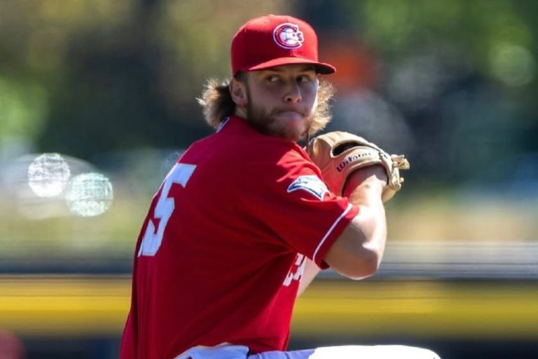 Toronto Blue Jays Minor League Relievers of the Month - July 2025