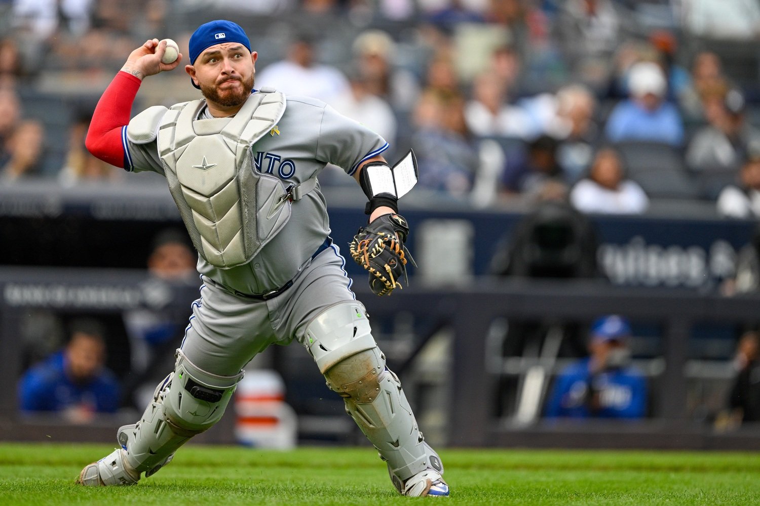 Five Blue Jays Named Finalists for Gold Glove Awards