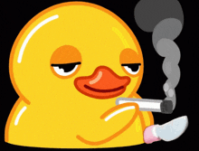 smoking-laughing-duck-smoking-duck.gif.bca74802e402c9de57968113c2f53250.gif
